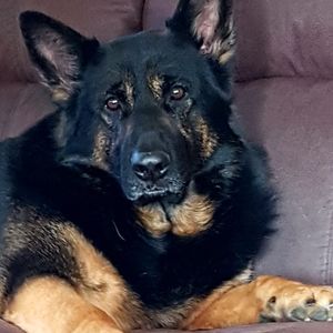 Meet your Posher, Joanne